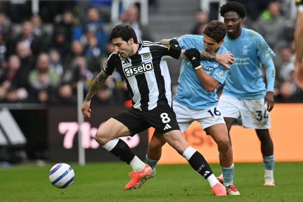 术家加入这 术家加入这